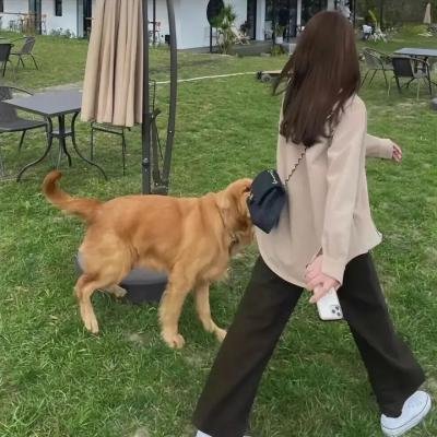 妙贼追凶